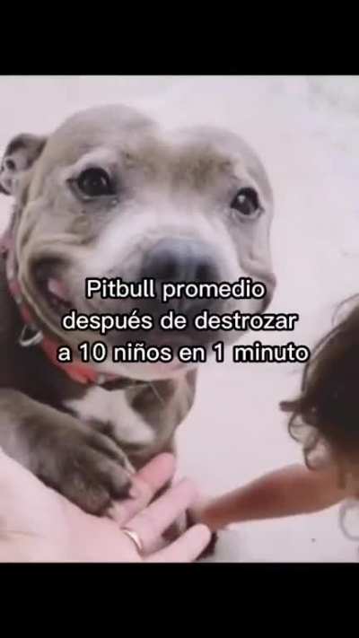 🥰🥰🥰