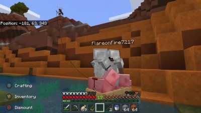Wacky Bedrock Edition Physics?