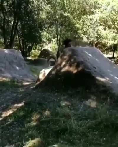 HMFT after I smash my face into a landing