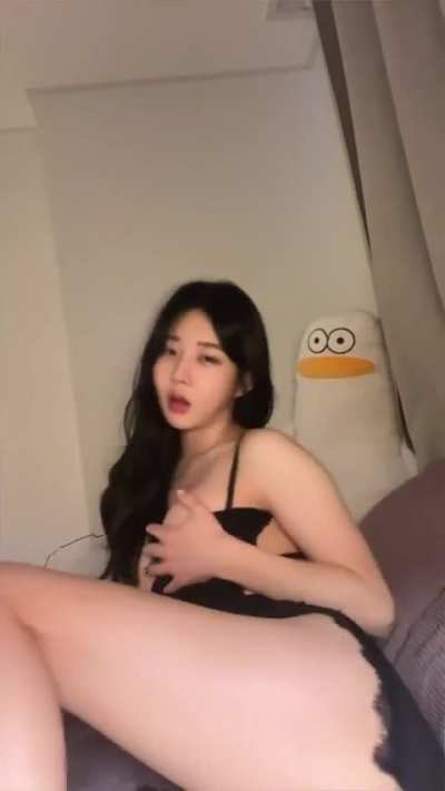 Korean Lover 