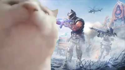 Here's a cat vibing to s13 lobby music as requested