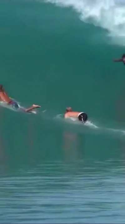 Surfs up
