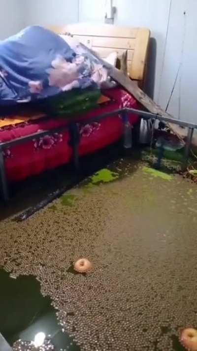 Wet dream