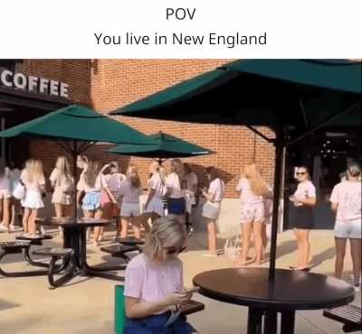 New England be like