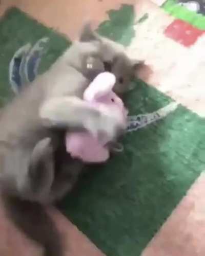 to take it