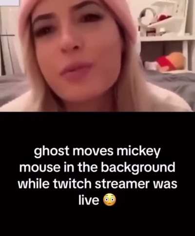 Mickey the Pooh