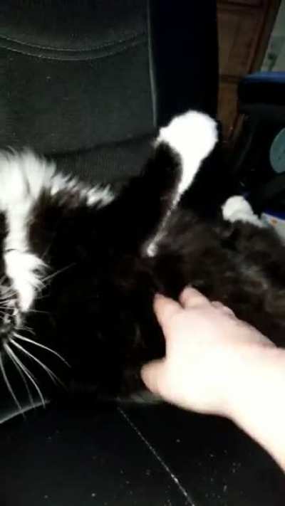 Me and my cat