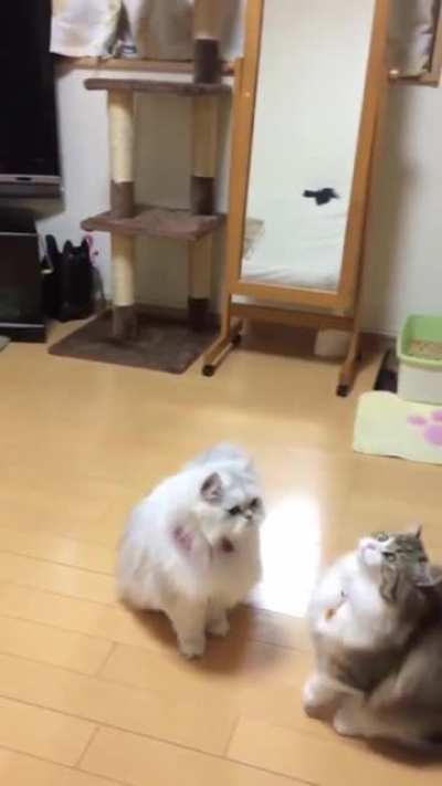 Where did it go ?!