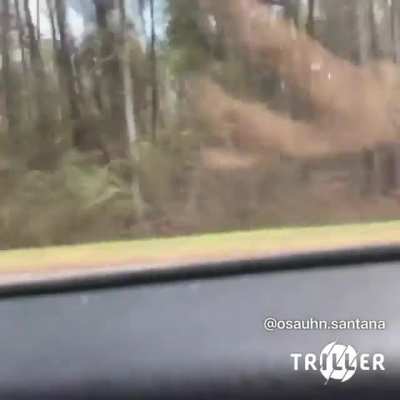 Who tf keep lettin this fuck nigga in the studio?? 😭 nigga needa be banned for life 💯💀