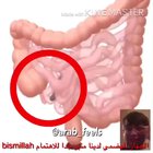 POOP WARNING 🚨 how poop works in urdu languhag یہ کیسے پاپ کام کرتا ہے how to poop tutorial