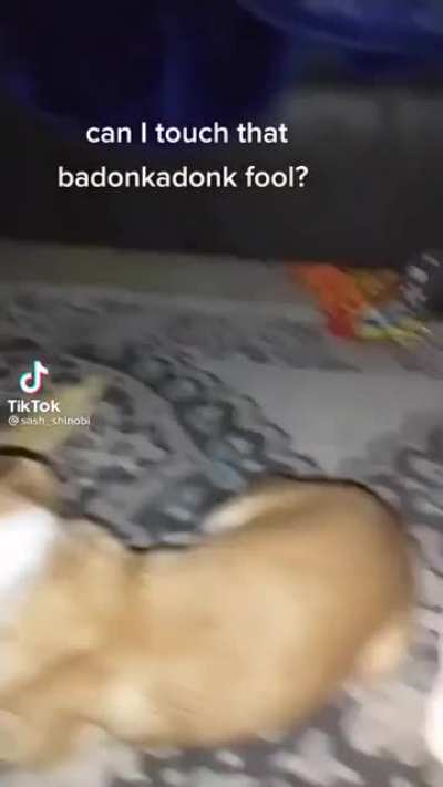 Hey buddy