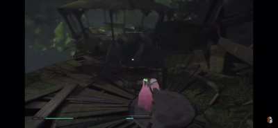 Spider for the win