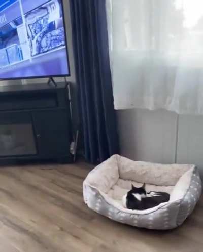 He looks defeated..