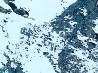 Snow leapard jumps off cliff into free fall to catch prey
