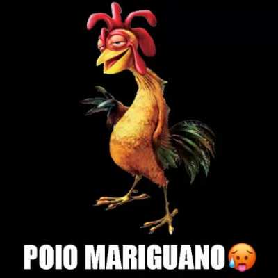 LO SIENTO PERO SOY UN POLLO MARIGUANO 🥵🥵🥵🥵🥵