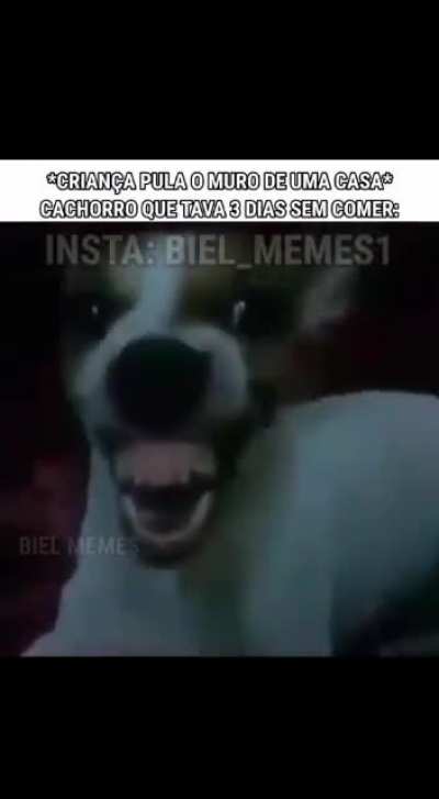 ok ne