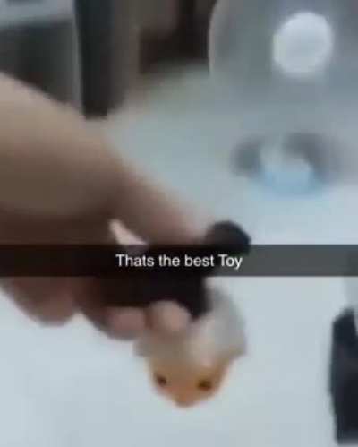 best toy