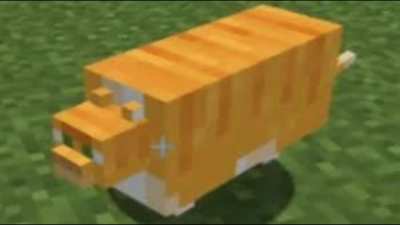 Minha pika está dispostamente duríssima