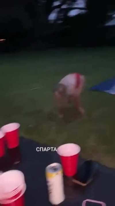 She isn't the brightest