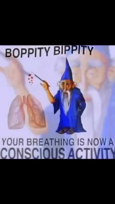 Moldy activity