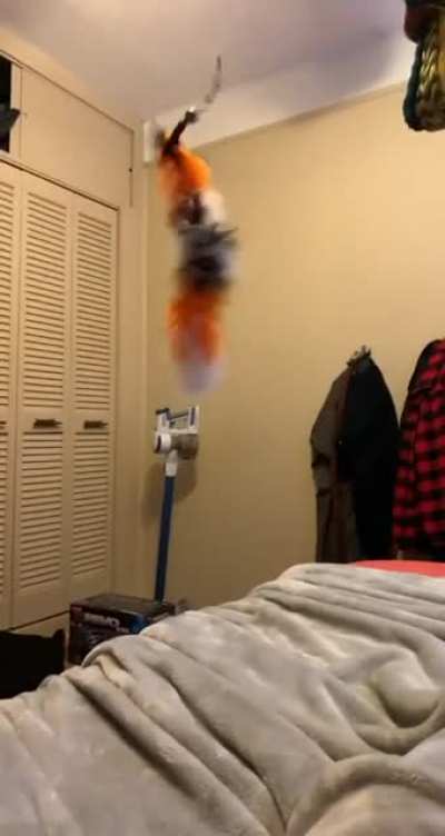 Last thing you see before you die