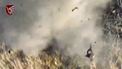 The Ukrainian 79th Brigade using Drone Drop munitions against Russian troops, equipment and positions near Novomykhailivka [Published 12/01/2024]