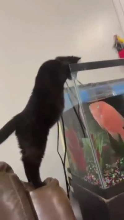 Strike From Under Water