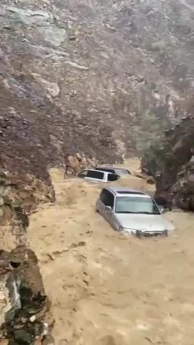 Toyota River Cruiser