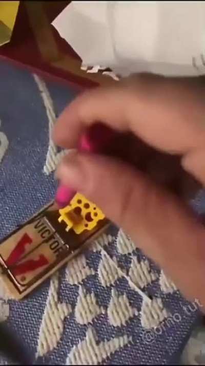 The mouse trap