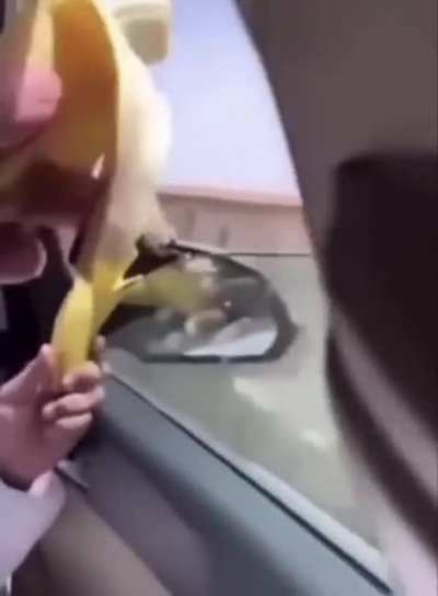 Diddy Kong wasn’t in a good mood