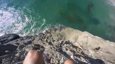 Let me jump off this cliff and attempt to hit the water