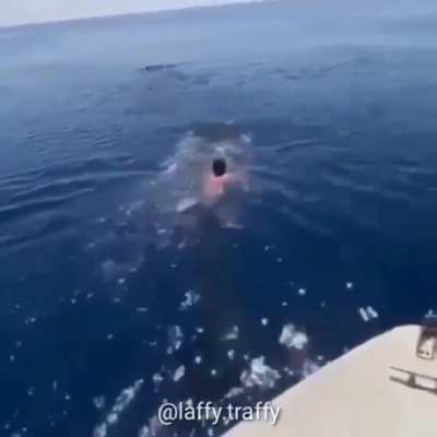 e nunca mais foi visto