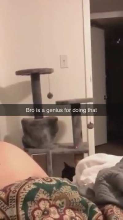 Turn on lazy mode