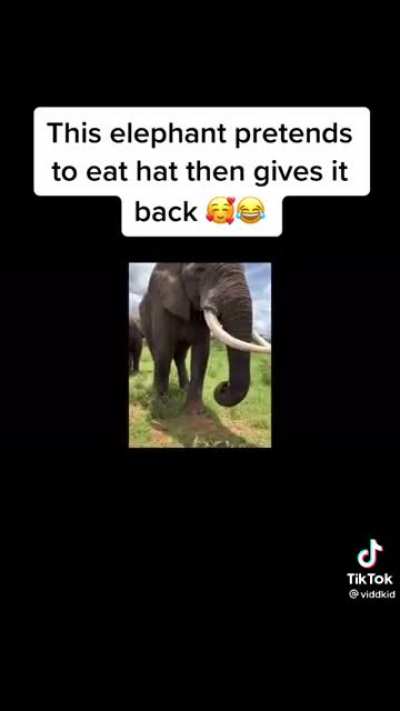 Sorry for weird cropping couldn’t fix it