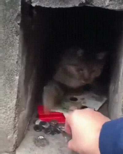 ‎‎‎‎‎‎‎‎‎‎‎‎‎‎‎‎‎‎‎‎‎‎‎‎‎‎‎‎‎‎‎‎‎‎‎‎‎‎‎‎‎‎‎‎‎‎‎‎‎‎‎‎‎‎‎‎‎‎‎‎‎‎‎‎‎‎‎‎‎‎‎‎‎‎‎‎‎‎‎‎‎‎‎‎‎‎‎‎‎‎‎‎‎‎‎‎‎‎‎‎‎‎‎‎‎‎‎‎‎‎‎‎‎‎