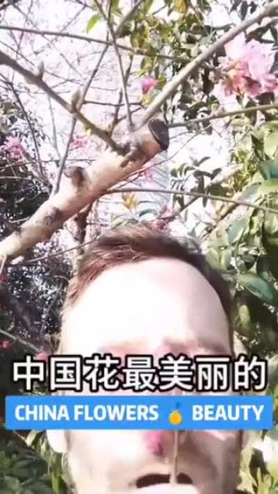 🤦‍♂️