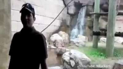 Monkey aims for the neck, probably breaks its nose
