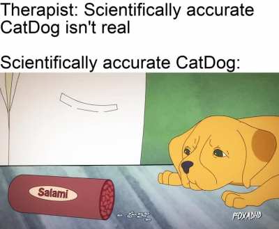 I can't imagine CatDog getting a live-action adaptation because of this