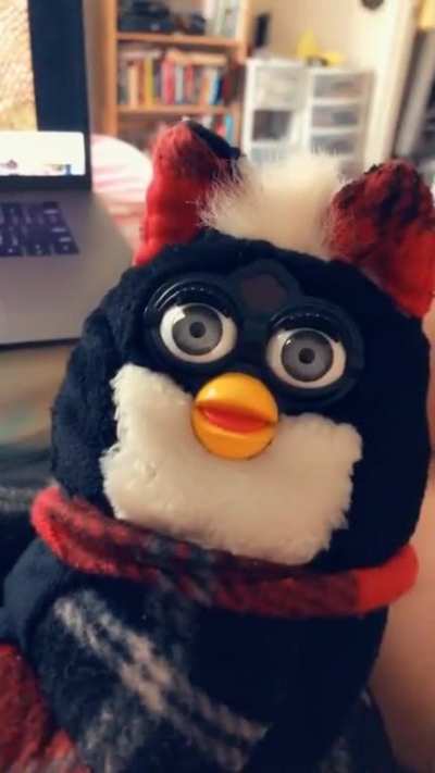 Little bit cursed