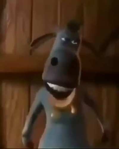 boi com teta