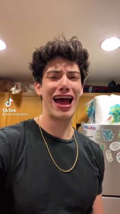 tiktok, ik cringe, but i closed the app at the perfect time and had to post it.