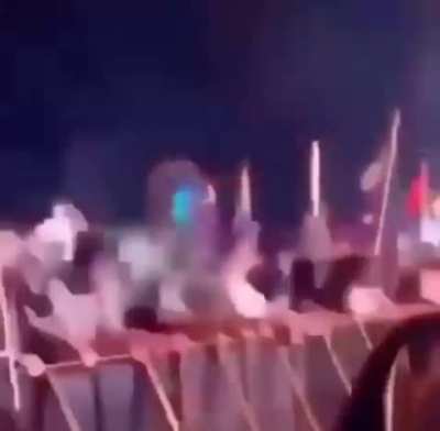 Polish cow fans