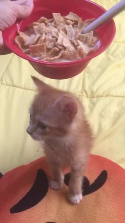 She insists that I got this cereal for *her*