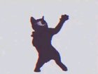 🐱