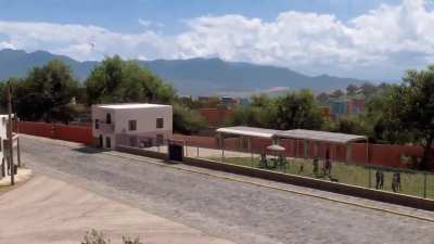 Scientists recently discovered new species of bird in Horizon Mexico 