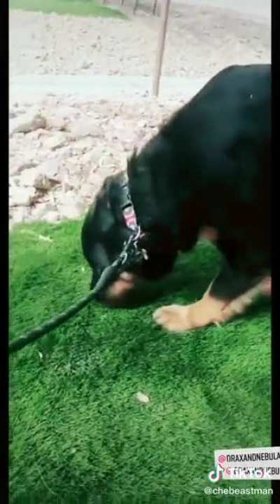 A windy day walk