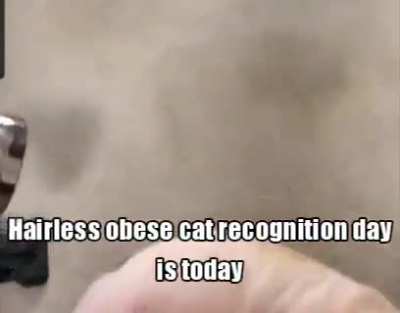 did you know