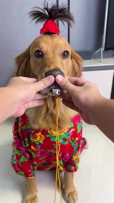 I don't want to party, they’re forcing me