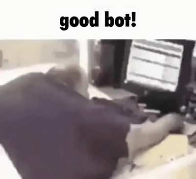 Good bot wholesome reddit