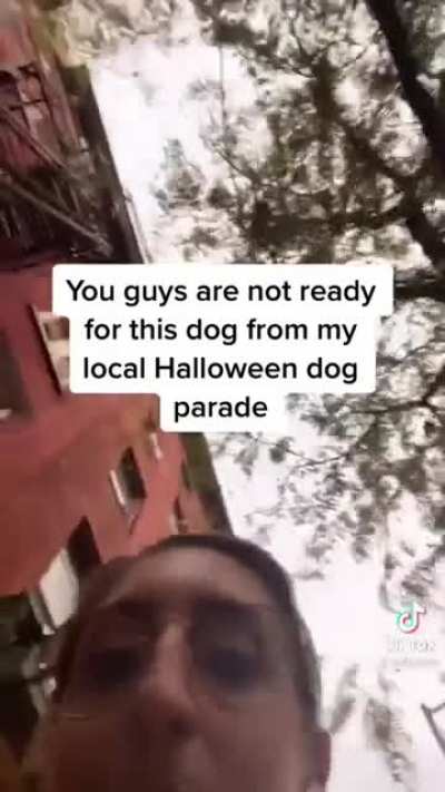 Pinhead’s doggy